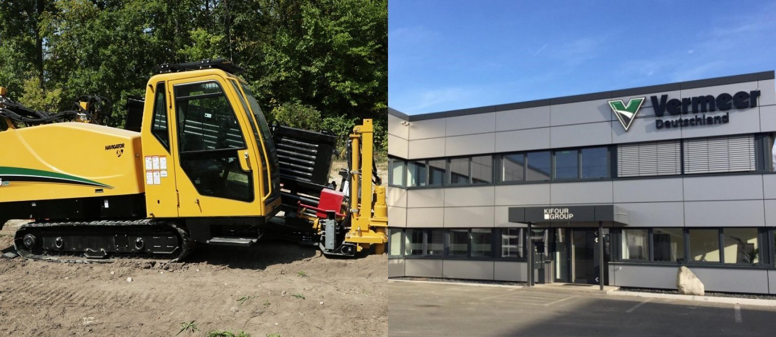 essbarer farn kaufen Strauenfarn (x2) - Matteuccia struthiopteris